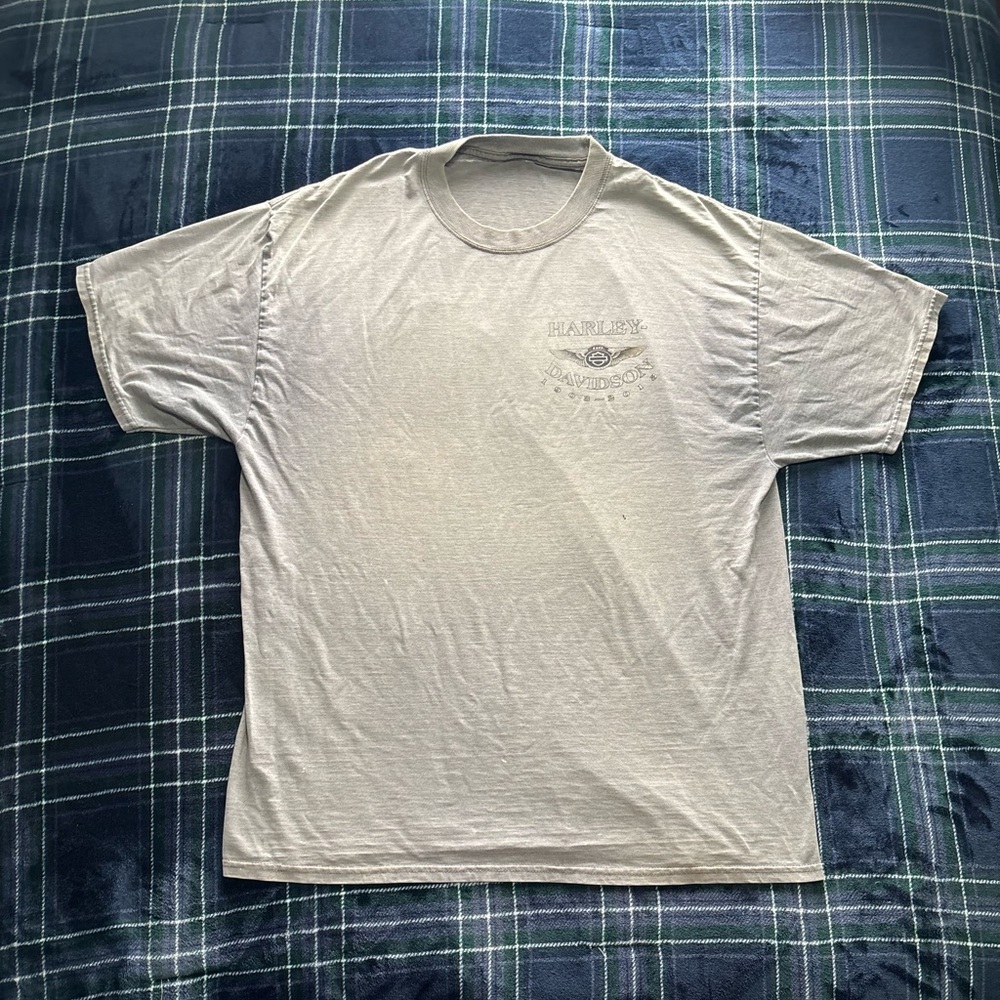 Vintage Harley Davidson Grey South  Carolina graphic t-shirt.Most likely L/XL.